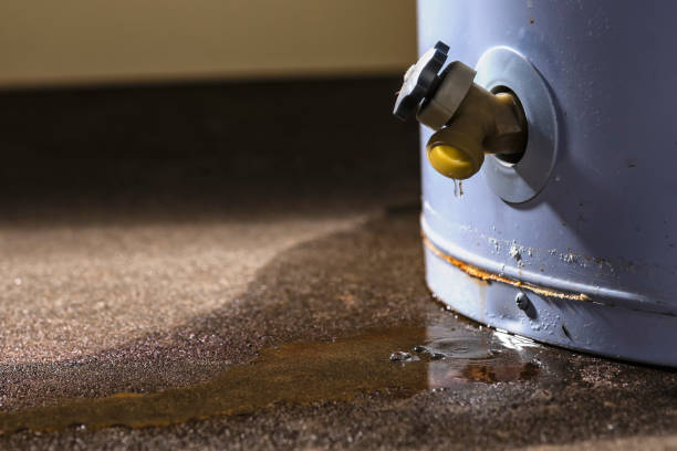 Best 24/7 water damage repair  in Lincoln University, PA