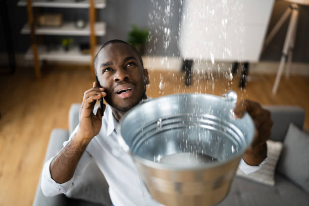 Best Ceiling water damage repair  in Lincoln University, PA