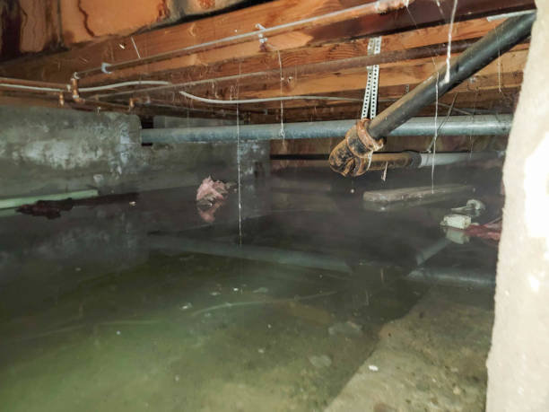 Best Professional water damage repair  in Lincoln University, PA