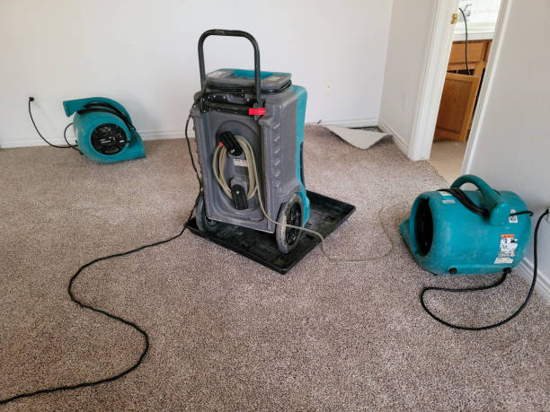 Best Flood damage cleanup  in Lincoln University, PA