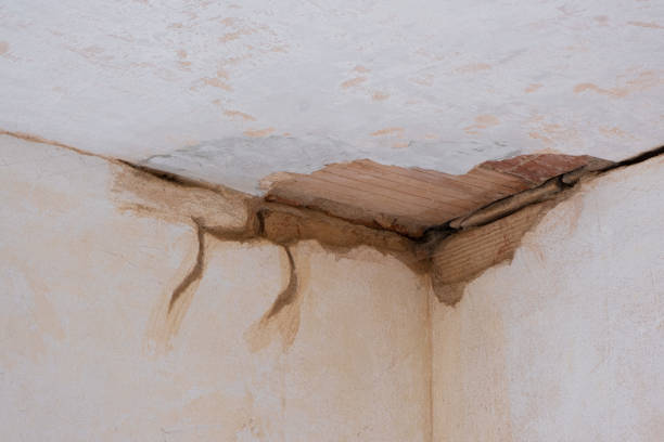 Best Fire Damage Restoration  in Lincoln University, PA