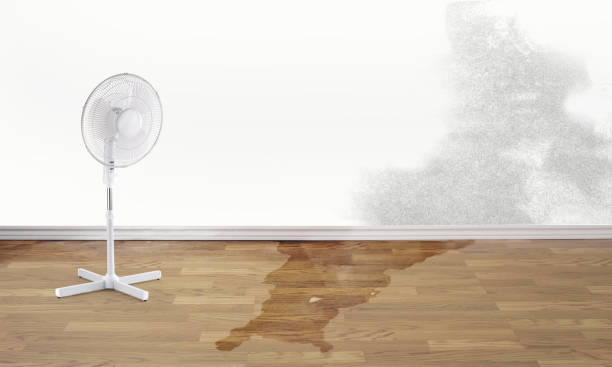 Best Professional water damage repair  in Lincoln University, PA