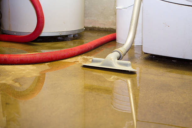 Best Water damage restoration specialists  in Lincoln University, PA