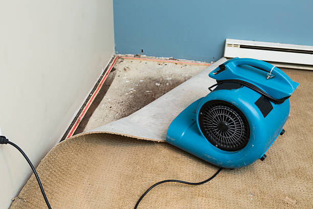 Best Residential water damage restoration  in Lincoln University, PA